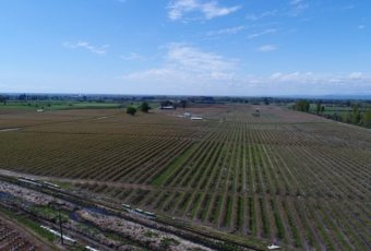 Agricultura 4.0 ¿Qué es esta nueva tendencia?