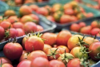 ¿Cuándo y por qué es necesario asegurar el cultivo o un terreno?