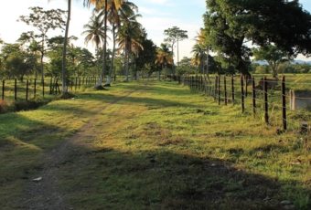 ¿Es un buen momento para comprar un terreno? Descubre cuál es el mejor momento para invertir en suelo