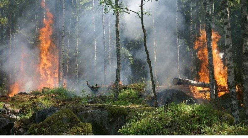 Multa por hacer fuego sin permiso en un terreno en propiedad