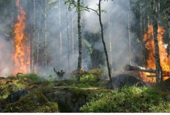 Multa por hacer fuego sin permiso en un terreno en propiedad