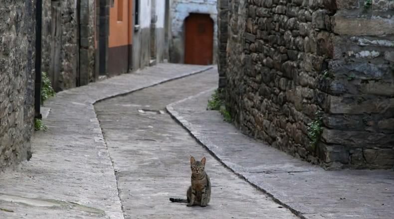 Repoblar pueblos de España ¿Es posible vivir gratis en pueblos o que te paguen por ello?