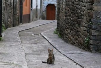 Repoblar pueblos de España ¿Es posible vivir gratis en pueblos o que te paguen por ello?