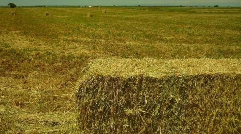 Com construir una casa a terra rústic?