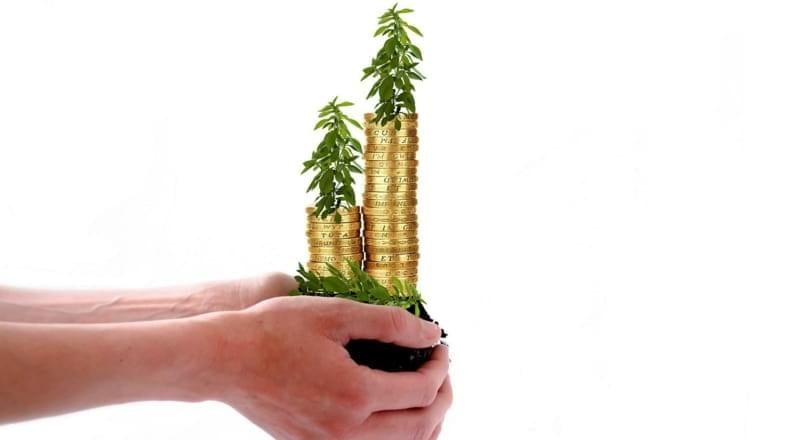 Crèdit hipotecari per a un terreny. Com sol·licitar-lo?