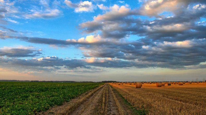 Terrenos agrícolas y economía, la situación actual en España