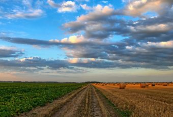 Terrenos agrícolas y economía, la situación actual en España