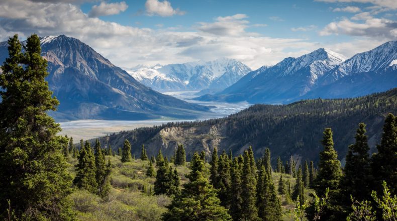 ¿Qué se puede cultivar en el monte? Así es el terreno ideal en altura