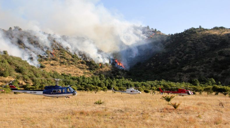 ¿Cómo asegurar mi terreno o casa ante los incendios forestales de verano?