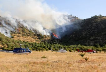 ¿Cómo asegurar mi terreno o casa ante los incendios forestales de verano?