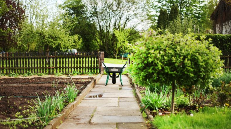 ¿Qué plantar mensualmente en el huerto de casa?