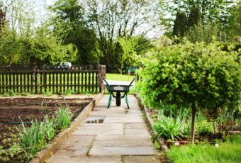¿Qué plantar mensualmente en el huerto de casa?