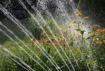 ¿Cómo elegir el mejor sistema de riego para un terreno?