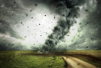¿Cómo afecta el cambio climático a los terrenos?
