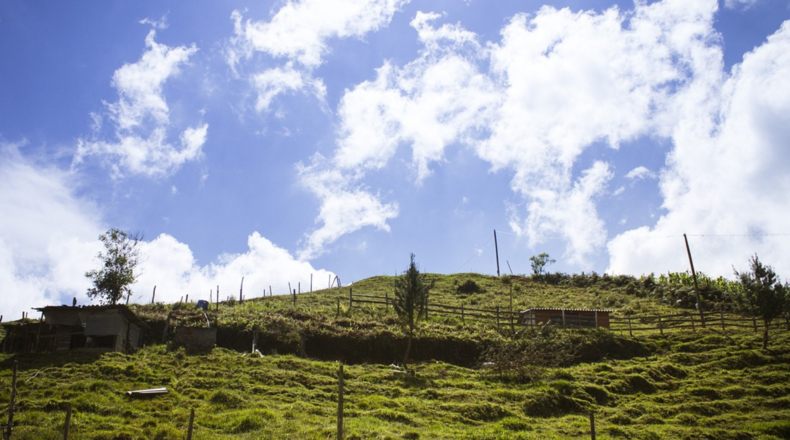 Terrenos en zonas protegidas. Qué sí y qué no se puede hacer