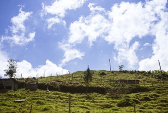 Terrenos en zonas protegidas. Qué sí y qué no se puede hacer