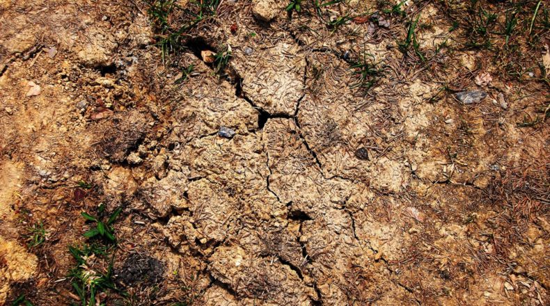 Cómo gestionar el agua en un terreno en épocas de sequia