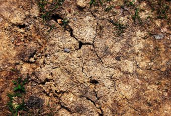 Cómo gestionar el agua en un terreno en épocas de sequia