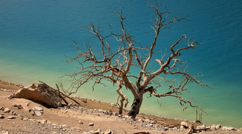 España se seca: la crisis climática y la escasez de agua