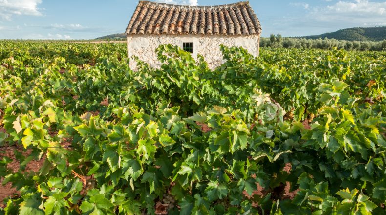 ¿Cómo construir tu casa de campo ideal en 2024?