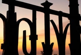 T77 foto