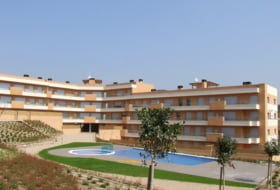 Augur foto