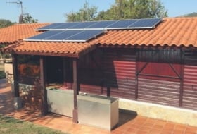 Soleson Фото