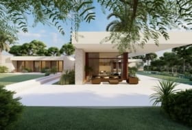 Feliumorell photo