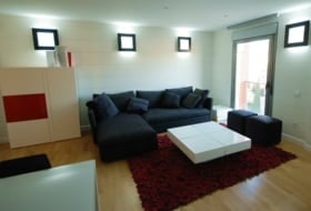 Estudio SHR foto