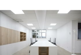 Liquen estudio Фото