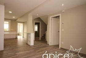 Apice arquitectura foto