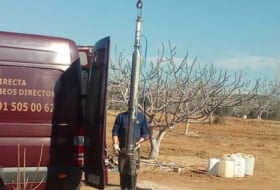 Solener SA Фото