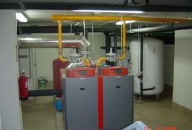 Intersa foto