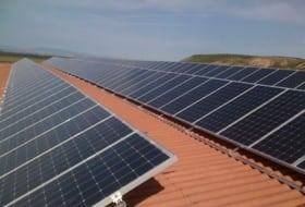Solartia foto