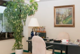 Cañas Abogados Фото