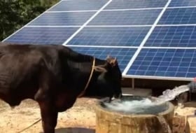 IGR Energéticos foto