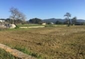 Земля на продажу у города Can Ramon Фото