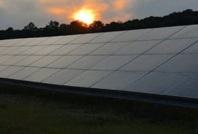 Proclima photo