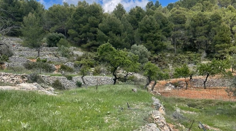 Alicante - Abdet - 3365m2