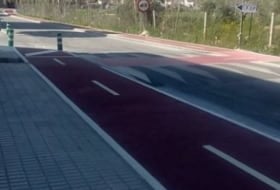 Añil foto