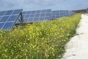 Irradia Energía photo