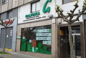 GALFINCA foto