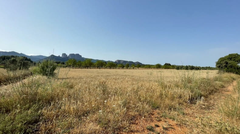 Tarragona - Horta de Sant Joan - 35000m2