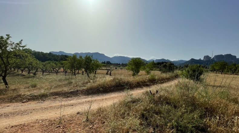 Tarragona - Horta de Sant Joan - 35000m2