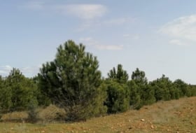 Chozas de Abajo 16150&nbsp;m² 