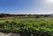 Parcel·la urbanitzable en venda a la Oliveres, la Ràpita, ref.: TR5108 foto