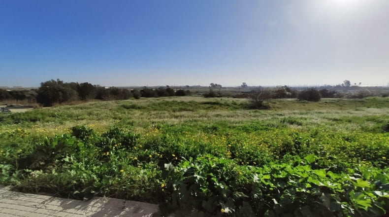 Tarragona - Sant Carles de la Ràpita - 8000m2