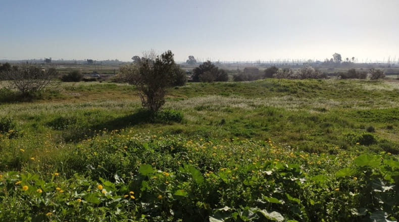 Tarragona - Sant Carles de la Ràpita - 8000m2