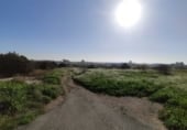 Parcel·la urbanitzable en venda a la Oliveres, la Ràpita, ref.: TR5108 foto