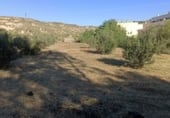 Sòl urbà en venda a la URB.MONTEELVIRA C/SAUCE PARCELA J 8, Albox, ref.: TR5222 foto